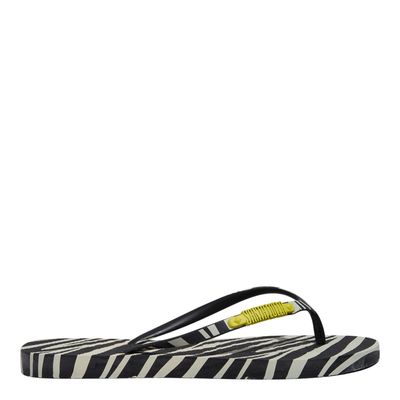 Chinelo Flip Flop Borracha Animal Print Zebra