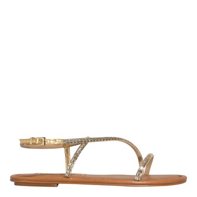 Rasteira Pedraria Metalizada Dourada