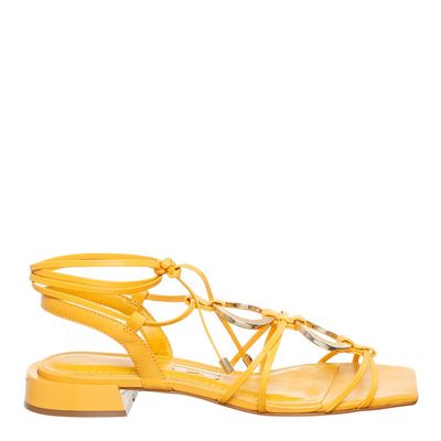 Rasteira Argola Bico Quadrado Amarelo