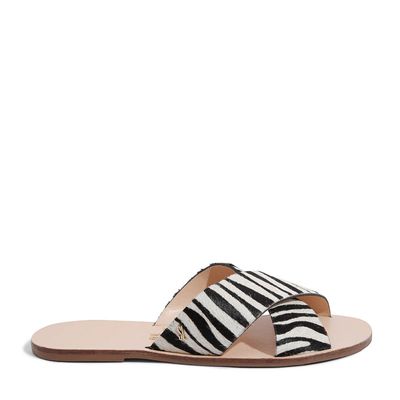 Rasteira Pêlo Tigre Pb