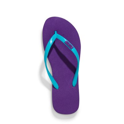 Flip Flop Borracha Roxo