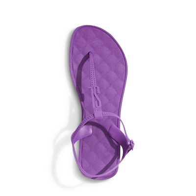 Flip Flop Borracha Roxo