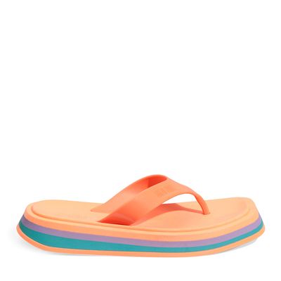 Papete Borracha Laranja Tangerina
