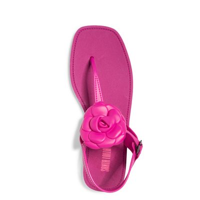 Rasteirinha Borracha Flor Pink Lolla