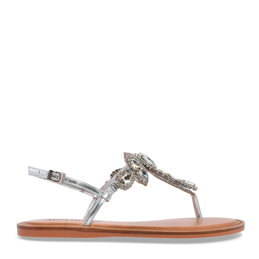 大人気新品 Rasteira Pedraria Soft Metalizado Prata - Santa Lolla その他多肉植物